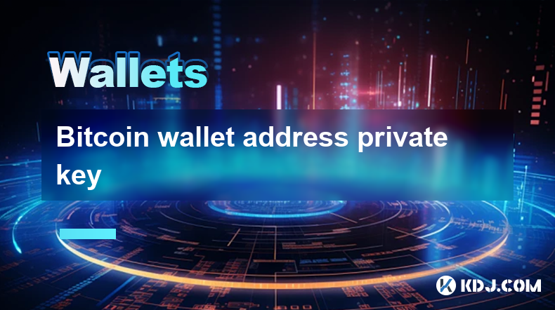 Privater Schlüssel der Bitcoin-Wallet-Adresse