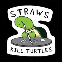 Straws Kill Turtles