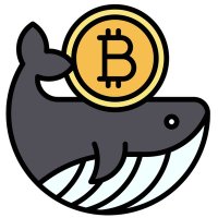 BTC Whales🐋