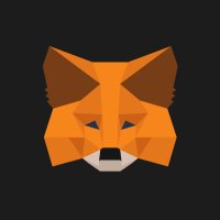 MetaMask Developer