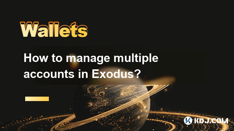 Comment gérer plusieurs comptes dans Exodus? Comment gérer plusieurs comptes dans Exodus?