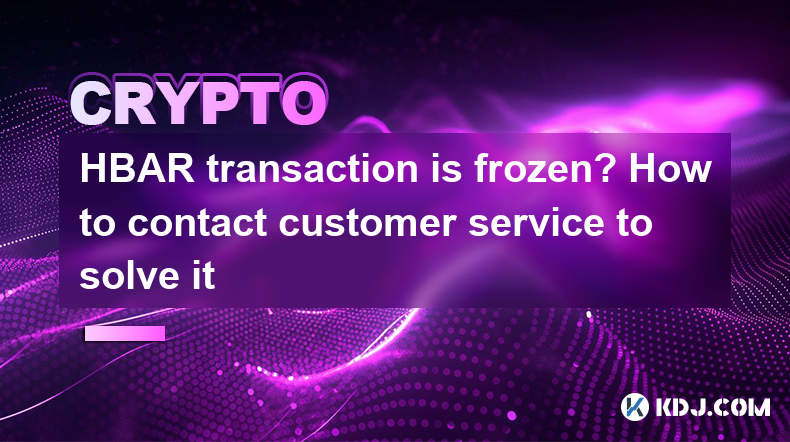 HBAR transaction is frozen? How to contact customer service to solve it HBAR transaction is frozen? How to contact customer service to solve it