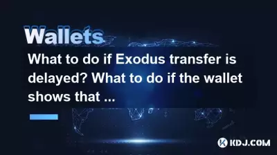 What to do if Exodus transfer is delayed? What to do if the wallet shows that it has not been received? What to do if Exodus transfer is delayed? What to do if the wallet shows that it has not been received?