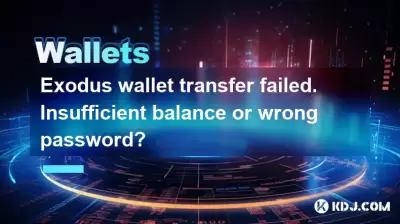 Exodus wallet transfer failed. Insufficient balance or wrong password? Exodus wallet transfer failed. Insufficient balance or wrong password?