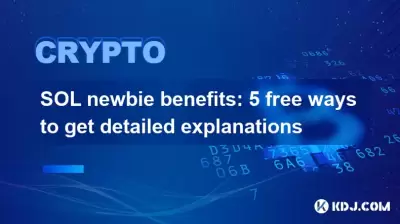 SOL newbie benefits: 5 free ways to get detailed explanations SOL newbie benefits: 5 free ways to get detailed explanations