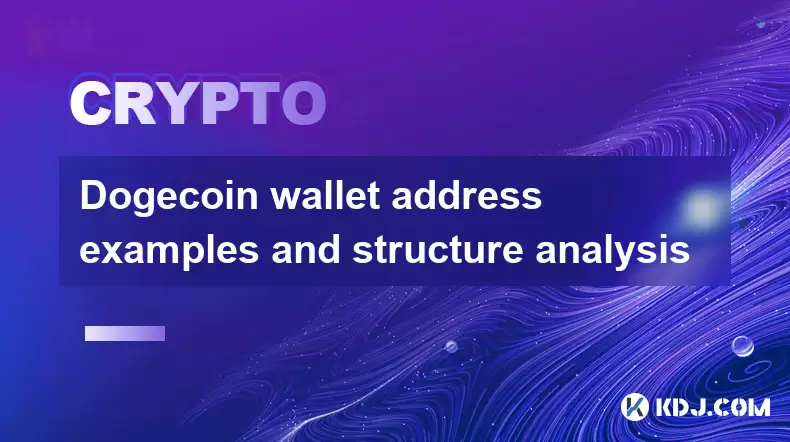 Doge Exemples d'adresses de portefeuille de monnaie et analyse de structure Doge Exemples d'adresses de portefeuille de monnaie et analyse de structure