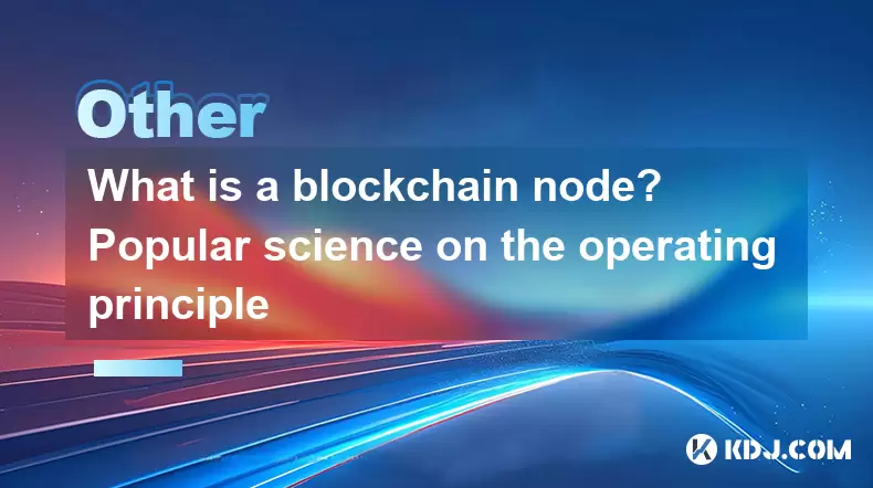 What is a blockchain node? Popular science on the operating principle What is a blockchain node? Popular science on the operating principle