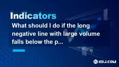 What should I do if the long negative line with large volume falls below the platform and then shrinks and pulls back? What should I do if the long negative line with large volume falls below the platform and then shrinks and pulls back?