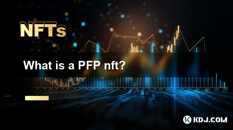 Was ist ein PFP NFT? Was ist ein PFP NFT?