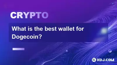 What is the best wallet for Bitcoincoin? What is the best wallet for Bitcoincoin?