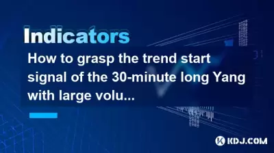 How to grasp the trend start signal of the 30-minute long Yang with large volume + 4-hour breakthrough of the consolidation range? How to grasp the trend start signal of the 30-minute long Yang with large volume + 4-hour breakthrough of the consolidation range?