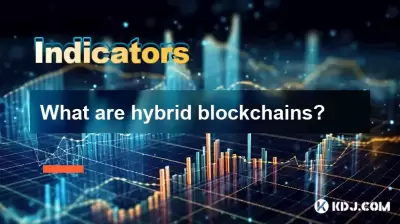 What are hybrid blockchains? What are hybrid blockchains?