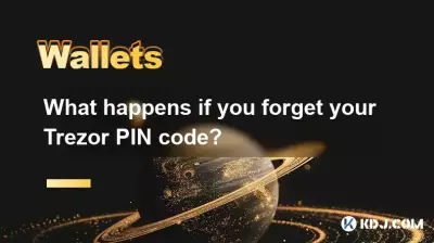 Trezor PIN 코드를 잊어 버리면 어떻게됩니까? Trezor PIN 코드를 잊어 버리면 어떻게됩니까?
