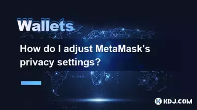 Wie passe ich die Datenschutzeinstellungen von Metamask an? Wie passe ich die Datenschutzeinstellungen von Metamask an?