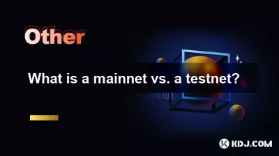 What is a mainnet vs. a testnet? What is a mainnet vs. a testnet?