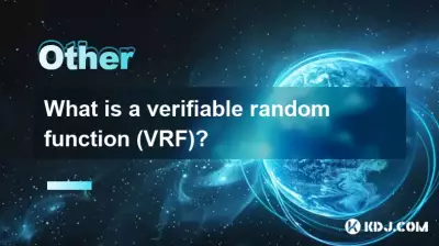 검증가능한 무작위 함수(VRF)란 무엇입니까? 검증가능한 무작위 함수(VRF)란 무엇입니까?