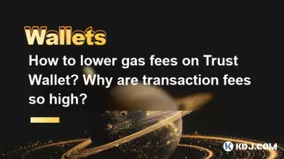 How to lower gas fees on Trust Wallet? Why are transaction fees so high? How to lower gas fees on Trust Wallet? Why are transaction fees so high?