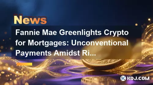 房利美 (Fannie Mae) 为抵押贷款开绿灯:利率上涨中的非常规支付 房利美 (Fannie Mae) 为抵押贷款开绿灯:利率上涨中的非常规支付