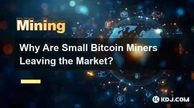 為什麼小型 Bitcoin 礦工會離開市場? 為什麼小型 Bitcoin 礦工會離開市場?