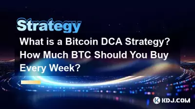 什么是 Bitcoin DCA 策略?您每周应该购买多少比特币? 什么是 Bitcoin DCA 策略?您每周应该购买多少比特币?