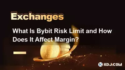 什麼是Bybit風險限額以及它如何影響保證金? 什麼是Bybit風險限額以及它如何影響保證金?