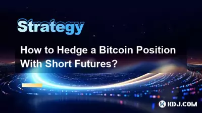 如何透過空頭期貨對沖 Bitcoin 部位? 如何透過空頭期貨對沖 Bitcoin 部位?