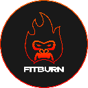 FitBurn