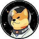 Satellite Doge-1 Mission