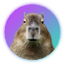 Capybara