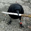 CAW