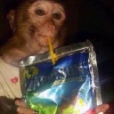 Caprisun Monkey