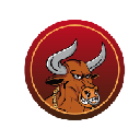 Angry Bulls Club