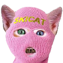 SKICAT