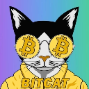 Bitcat