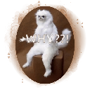 WhyCat