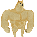 Swole Doge