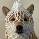 Wrapped Dog