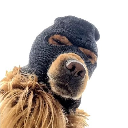 Ski Mask Dog