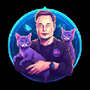 Elon Cat