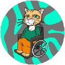 Wheelchair Cat