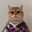 Cat Own Kimono