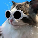 coolcat